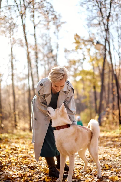Senhora atraente jogando acariciando o cão, no parque de outono ou na floresta. conceito estilo de vida — Fotografia de Stock