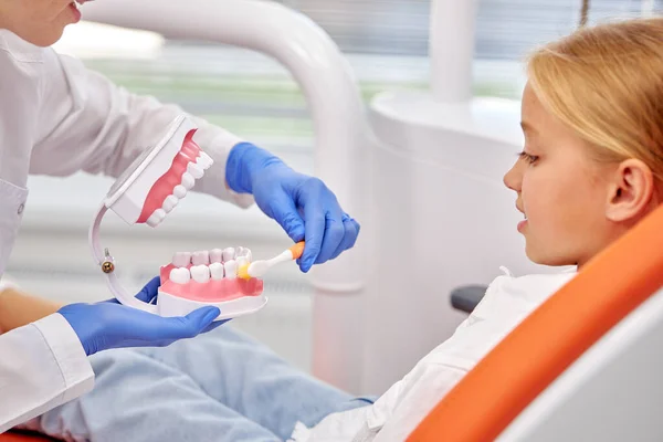 Tandvård. Kvinnlig tandläkare håller modell av mänsklig käke i händerna — Stockfoto