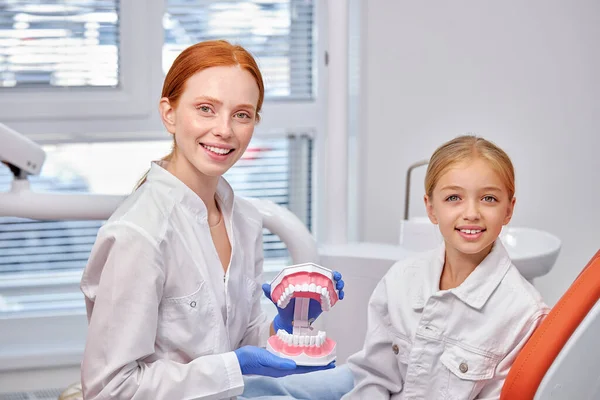 Medicin, tandvård och hälso- och sjukvård. trevlig tandläkare visar dento modell av käken — Stockfoto