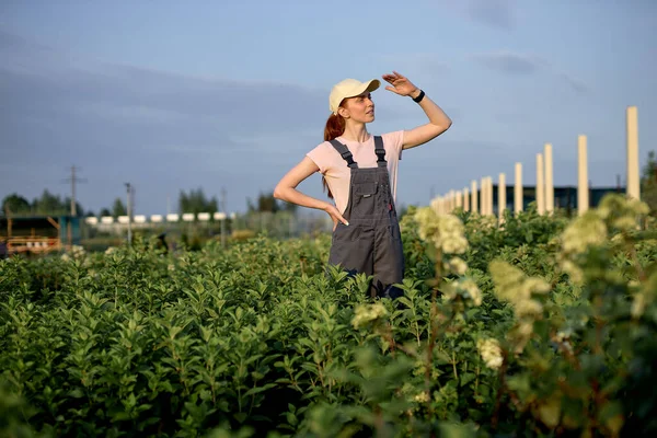 有機野菜農場で働く女性です。庭の赤毛の女性はプランテーションの上に立ち — ストック写真