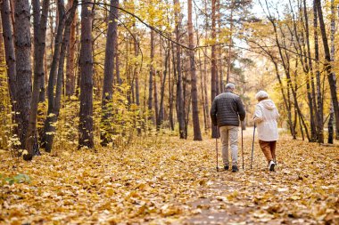 Kocasıyla ormanda yürüyüş yaparken İskandinav yürüyüşünden zevk alan aktif yaşlı kadın ve erkek