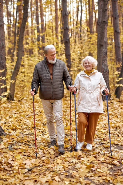 Casal idoso ativo andando com pólos nórdicos enquanto desfruta de caminhada na floresta de outono — Fotografia de Stock
