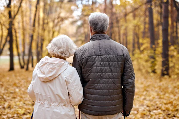 Visão traseira no homem sênior e mulher adulta desfrutando de caminhada no parque de outono. Casal idoso ativo — Fotografia de Stock
