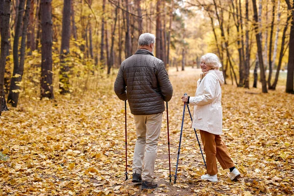 Caminhada nórdica, vista traseira na caminhada de casal aposentado com canas no parque de outono. Desporto — Fotografia de Stock