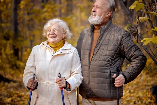 Casal de idosos românticos desfrutando o momento de amor no parque, caminhando nórdico no dia de outono — Fotografia de Stock