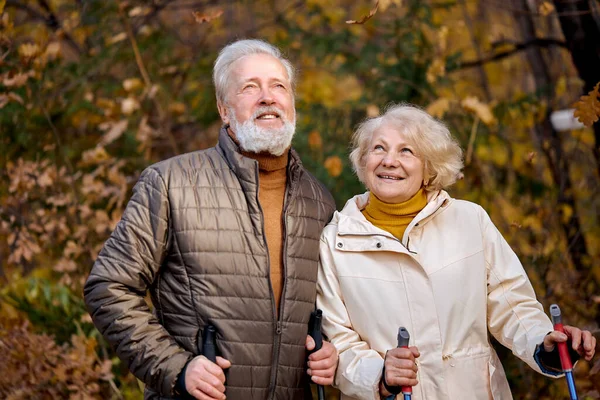 Feliz casal de idosos apaixonados envolvidos na caminhada nórdica indo na natureza outono. — Fotografia de Stock