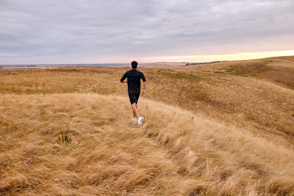 Rückansicht eines fitten Mannes, der bei Sonnenaufgang am frühen Morgen allein auf dem Sommerfeld läuft — Stockfoto