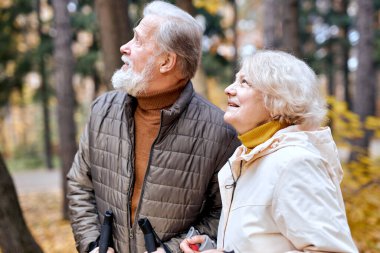 Renkli sonbahar parkında İskandinav yürüyüş direkleri olan oldukça yaşlı bir çift..