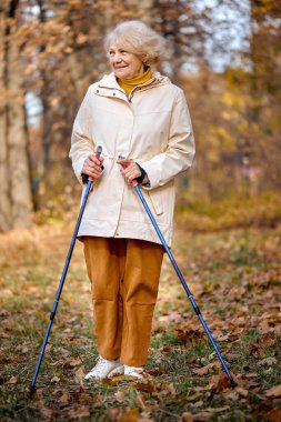 Yaşlı bir kadın İskandinav yürüyüşü yapıyor. Sonbahar doğa parkına, ormana gidiyor..