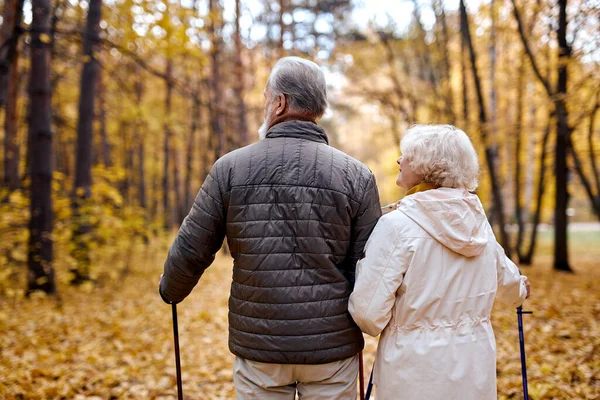 Vista de volta no casal de idosos apaixonados envolvidos em caminhada nórdica indo na natureza outono — Fotografia de Stock