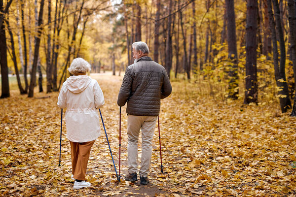Nordic walking, rear view on elderly couple walk with canes in autumn park. Sports exercises