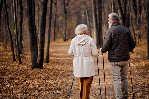 Visão traseira no casal maduro andando com postes de caminhada nórdicos na floresta de outono. — Fotografia de Stock