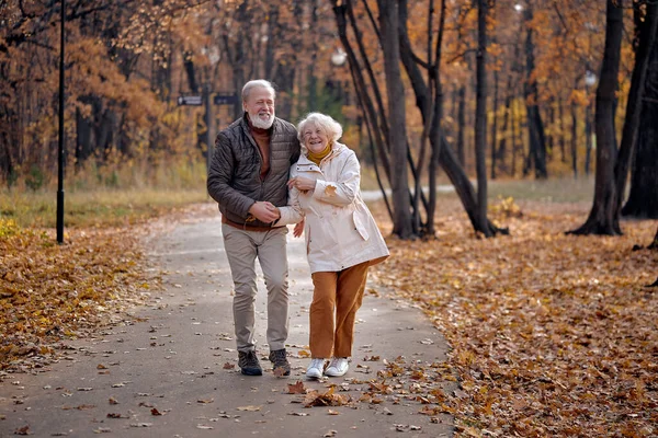 Casal idoso rindo, sorrindo. idosos caminhando no parque — Fotografia de Stock