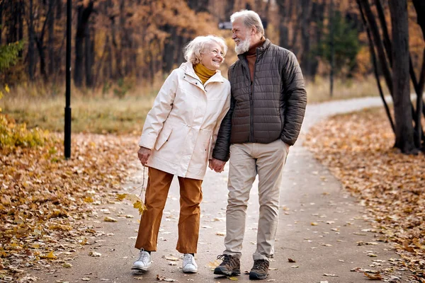 Feliz casal de idosos apaixonados envolvidos em caminhada ativa no parque, temporada de outono — Fotografia de Stock