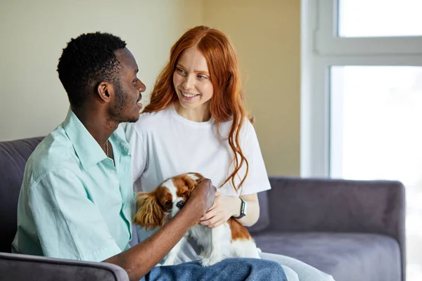 Sonriente negro hombre y caucásico mujer sentarse en sofá vergonzoso jugar con mascota — Foto de Stock