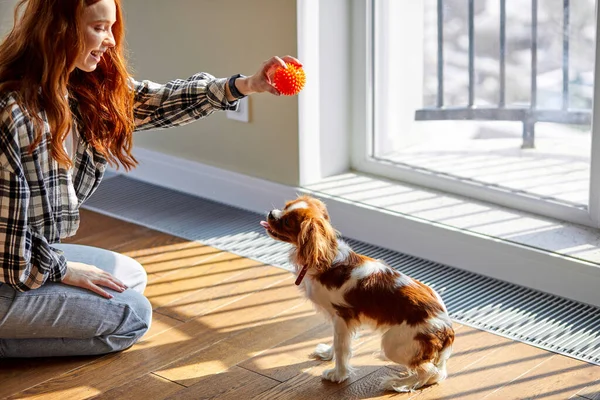 Χαρούμενη νεαρή κοκκινομάλλα γυναίκα παίζει με το κατοικίδιο ζώο στο σπίτι στο πάτωμα με το παιχνίδι — Φωτογραφία Αρχείου
