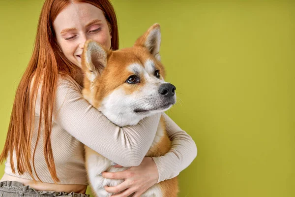 Κοκκινομάλλα κυρία σε casual φορούν αγκαλιάζει καθαρόαιμο σκυλί συντροφιάς, akita inu σκυλί με ιδιοκτήτη — Φωτογραφία Αρχείου