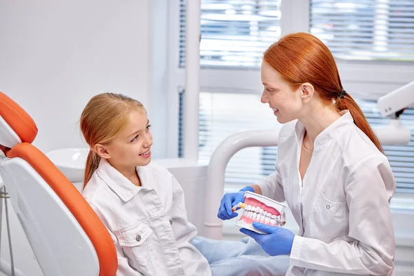 Tandläkare i uniform med maket of käke berättar om vården på tandvårdskliniken — Stockfoto