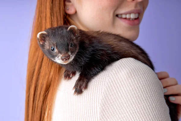 beautiful funny domestic pet ferret on owners shoulders, exploring everything around.Woman and domestic pet concept. close-up shot. cropped redhead woman side view