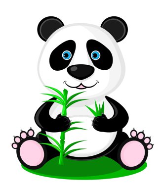 sevimli panda ayısı