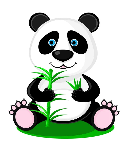 Söta panda bear — Stock vektor