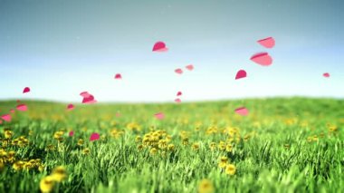 Kalpler yaz çim alanın üzerine sinekler