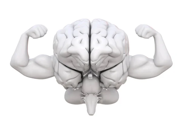 Zdrowy Silny Mózg Zdrowie Intelektu Umysłu Ilustracja — Zdjęcie stockowe