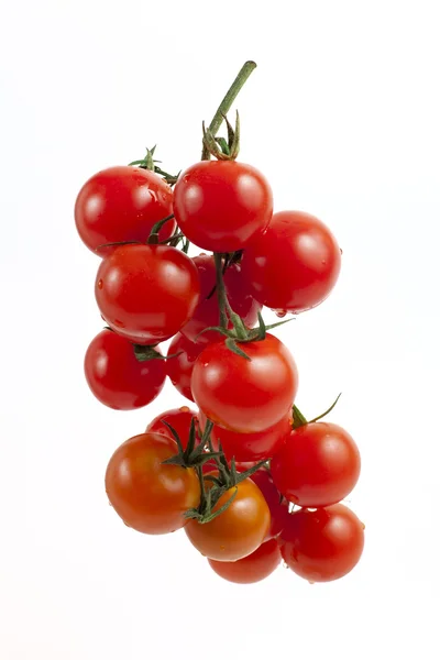 Branche avec plus de tomates mûres rouges sur fond blanc — Photo