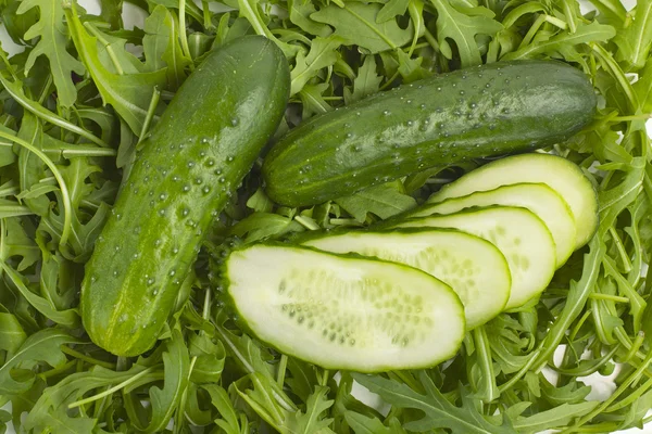 Yeşil taze salatalık — Stok fotoğraf