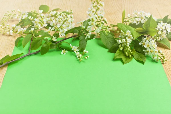 Tak met bloemen en bladeren op een Groenboek achtergrond — Stockfoto