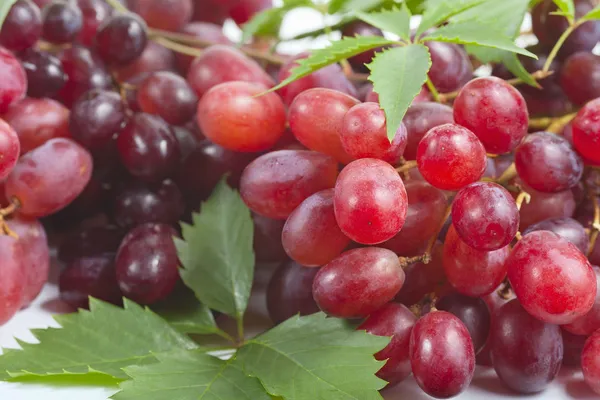 Gäng mogna, färska röda druvor med blad. — Stockfoto