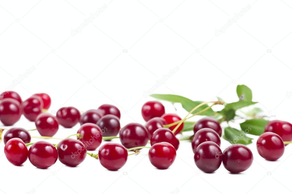 Berries ripe cherry with a branch isolated on white background.