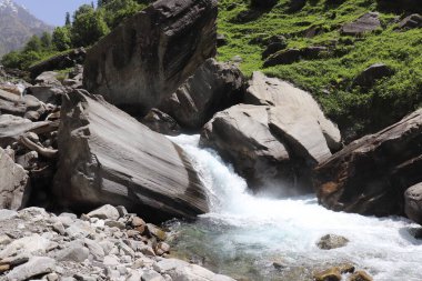 Himalaya vadilerindeki nehirde çağlayan.