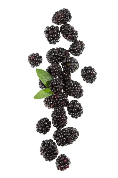 Moras — Foto de Stock