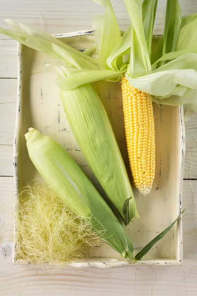 Fresh Corn — Stock Photo, Image