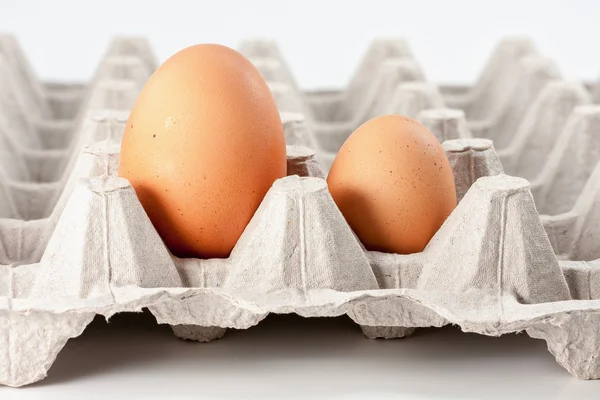 Eggs — Stock Photo, Image