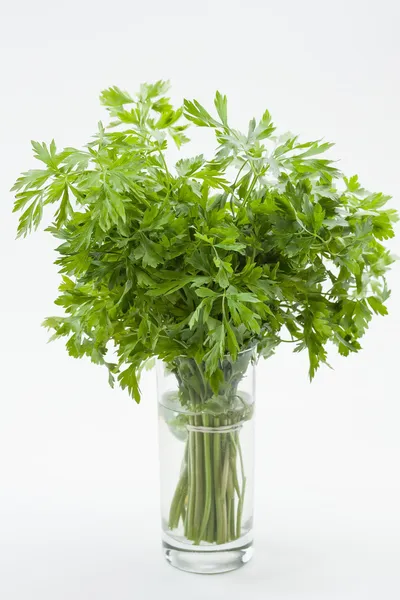 Fresh parsley — Stock Photo, Image