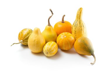 çeşitli süs gourds