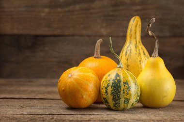 çeşitli süs gourds