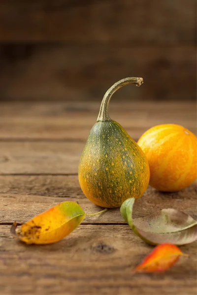 Декоративні gourd — стокове фото
