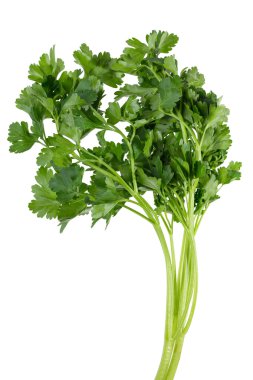 Yeşil maydanoz demet