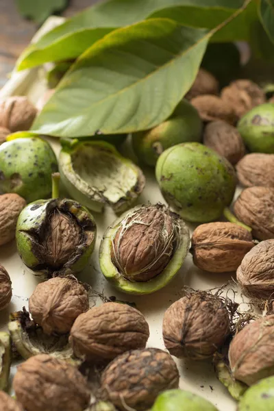 Nueces — Foto de Stock