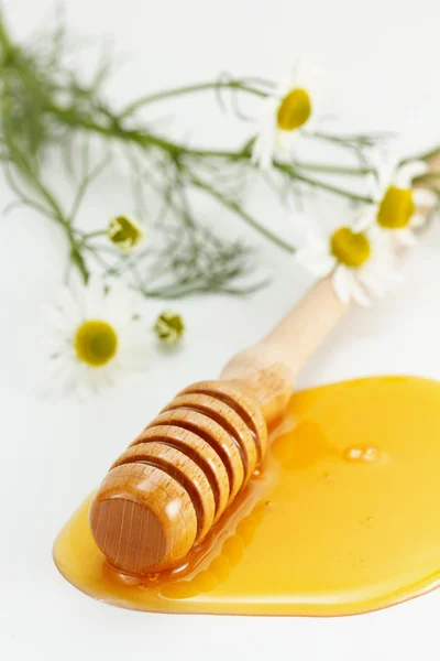 Honey And Chamomile — Stock Photo, Image