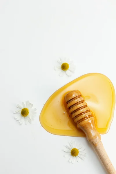 Honey And Chamomile — Stock Photo, Image