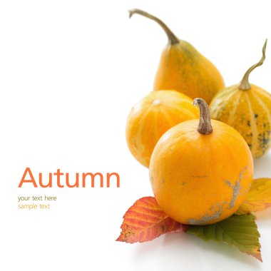 çeşitli süs gourds