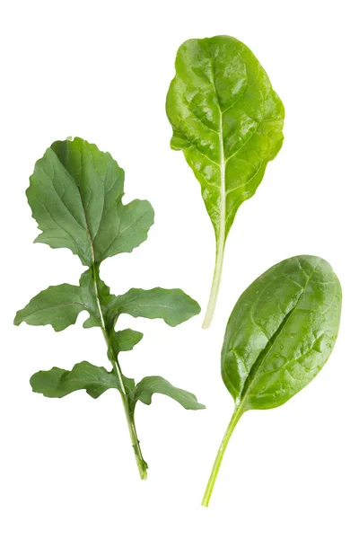 Listová zelenina — Stock fotografie