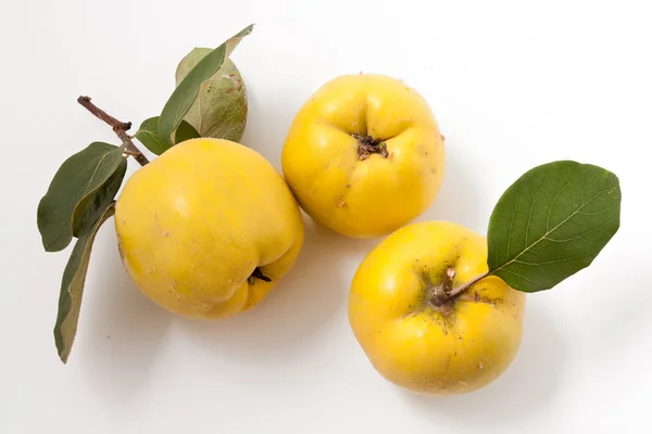 Fresh yellow quinces — Stock Photo, Image