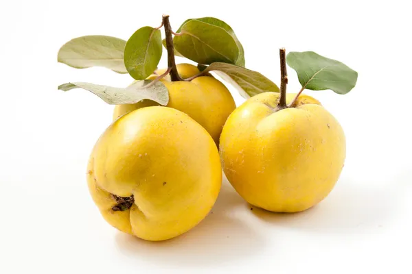 Fresh yellow quinces — Stock Photo, Image