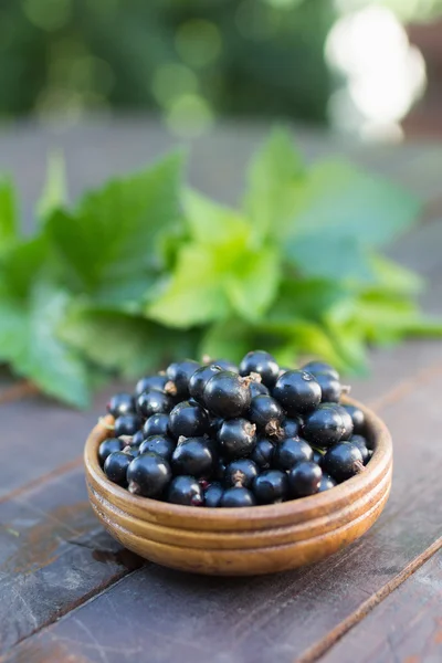 Blackcurrants in bowl — Stock Photo, Image