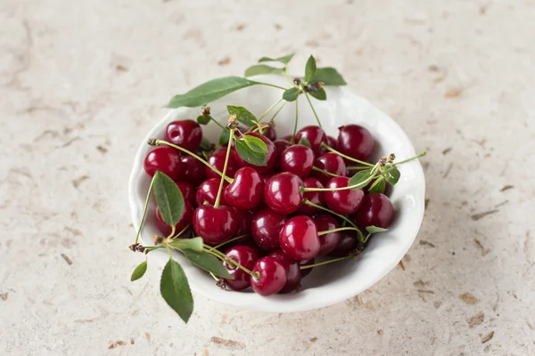 Sour Cherry — Stock Photo, Image